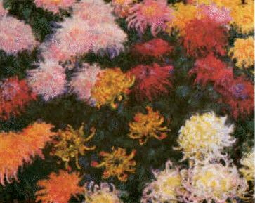 Claude Monet Chrysanthemums  sd